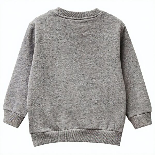 Felpa Bambini United Colors Benetton Grigio Blu Multicolor