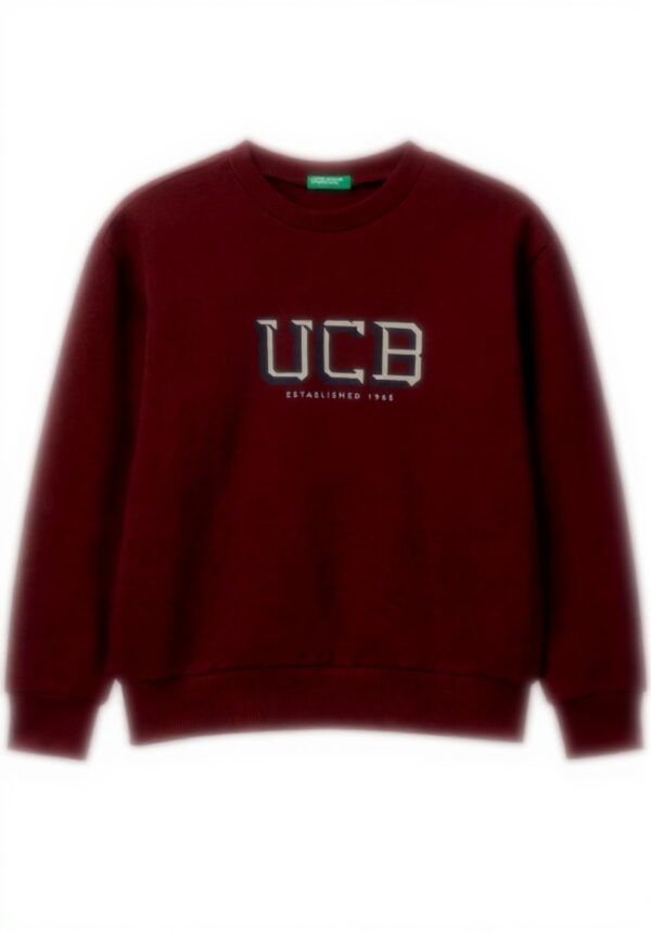 Felpa bambini United Colors Benetton cotone girocollo