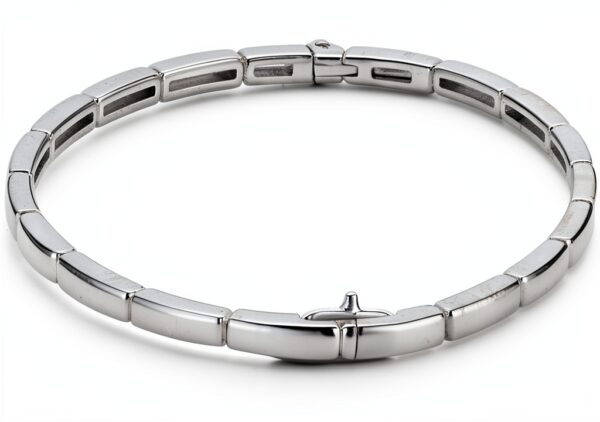 Ti Sento Milano Bracciale Rigido Donna Argento 925 Gioiello misura L classico cod. 23001SI/L-2